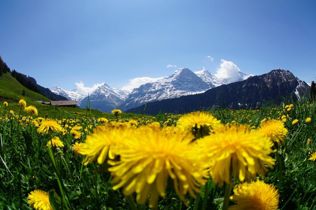 Апартаменты Chalet Wetterhorn Люченталь Экстерьер фото